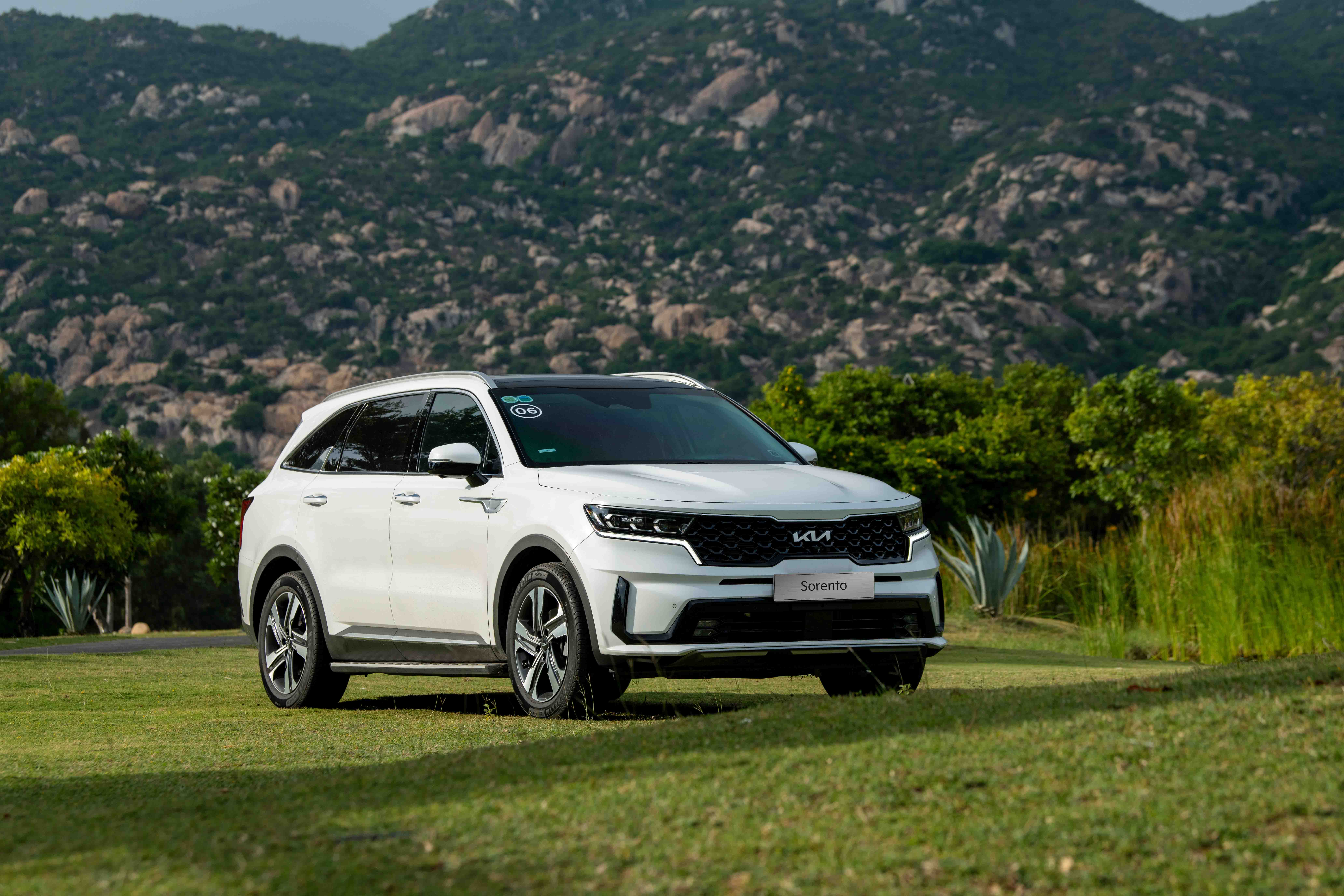 Xe gầm cao cỡ D tháng 4/2026 giảm mạnh doanh số, Kia Sorento bất ngờ tăng trưởng 3 Quảng Cáo Ô Tô - Tối Ưu Đa Nền Tảng Xe gầm cao cỡ D tháng 4/2026 giảm mạnh doanh số, Kia Sorento bất ngờ tăng trưởng